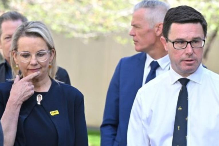 Thumbnail for Nationals, Liberals are in a ‘situationship’