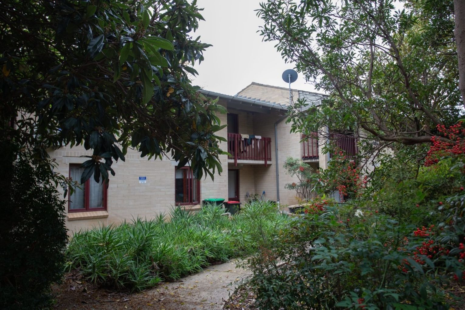Public housing at Dr Kent's Paddock, Kent Town. Photo: Brett Hartwig/InDaily