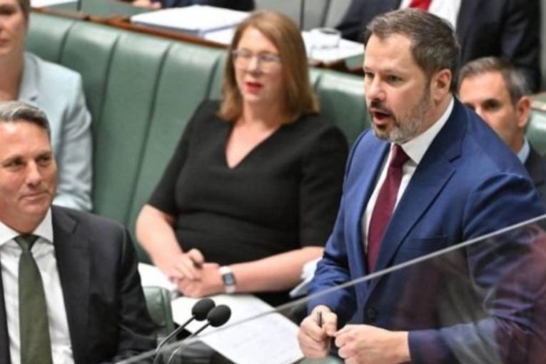 Thumbnail for Dumped Husic labels Deputy PM a ‘factional assassin’
