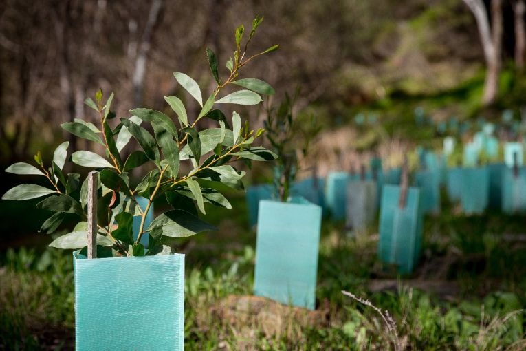 Thumbnail for Worried not enough is being done to tackle climate change? These innovations are here to help
