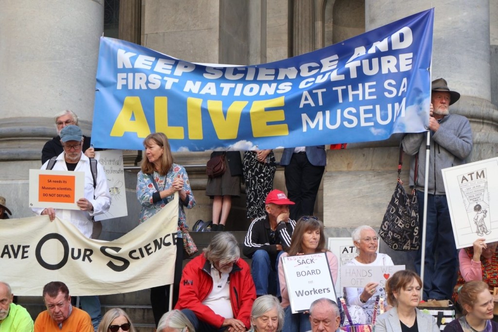 Sa Museum Rally Inquiry push for SA Museum changes as hundreds rally - News | InDaily ...