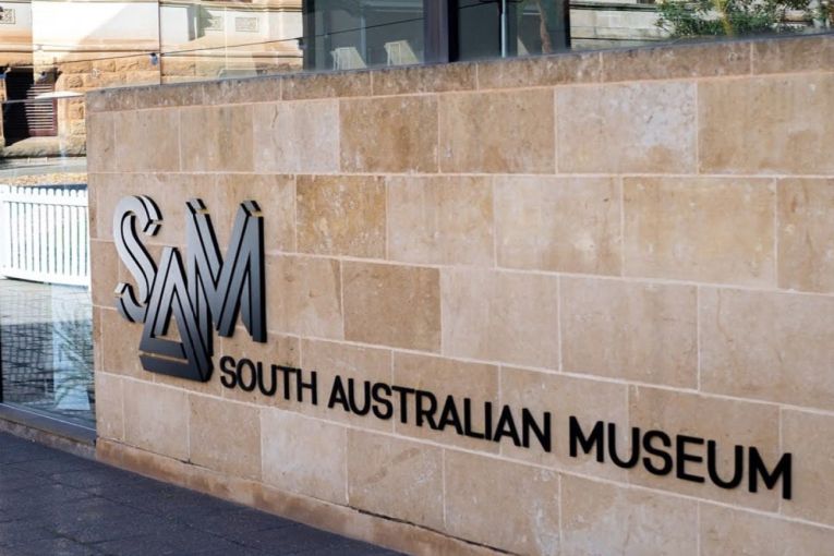 Thumbnail for ‘Thrown away’: More concerns over SA Museum research plan
