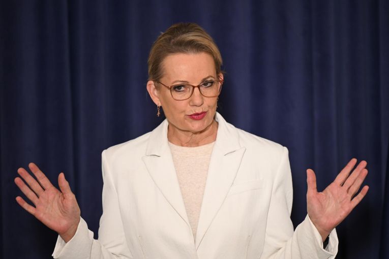 Thumbnail for New opposition leader defends leadership picks amid early rift