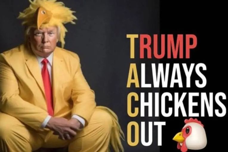 Thumbnail for TACO Trump goes viral: President does 'chicken out'