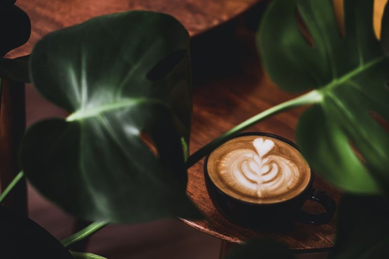 Thumbnail for A charming rainforest-ensconced cafe is opening in Mount Nebo later this year