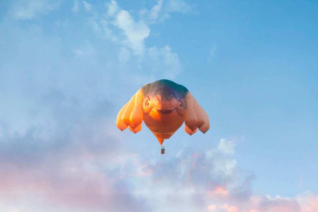 Thumbnail for Skywhales, world premieres and Jeff Koons – BLEACH* has unveiled its 2025 program