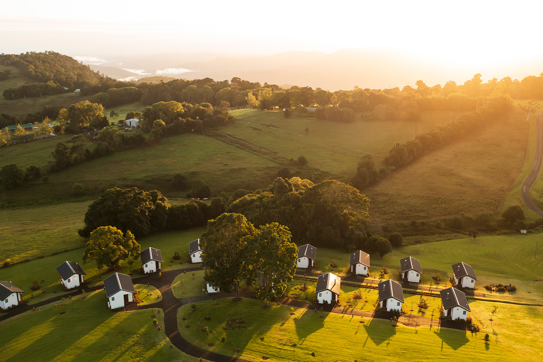 Beechmont Estate, Beechmont | Credit: Dylan Evans Photo