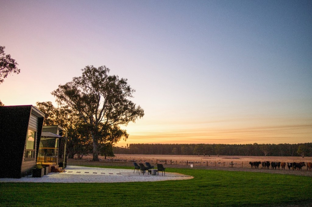 The Blue Wren retreat at Warrawindi Escapes near Penola. Photo: Ben Brooksby/Mason Galpin