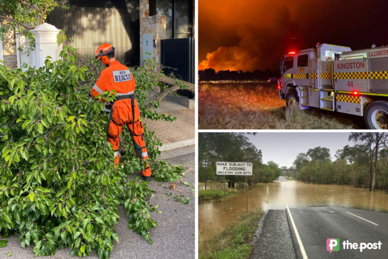 Thumbnail for There’s an app for that: How Alert SA can help you dodge danger year-round