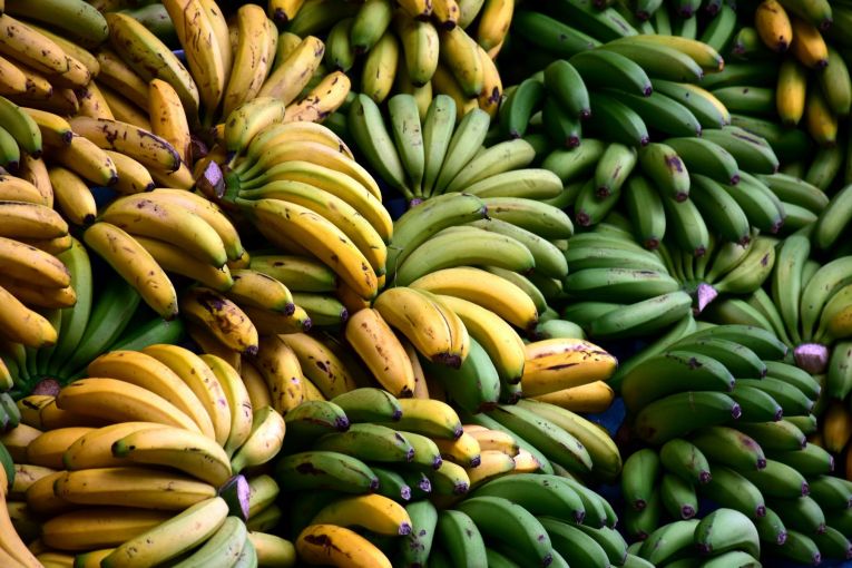 Thumbnail for Winners and Losers: Papyrus investors go bananas for cardboard