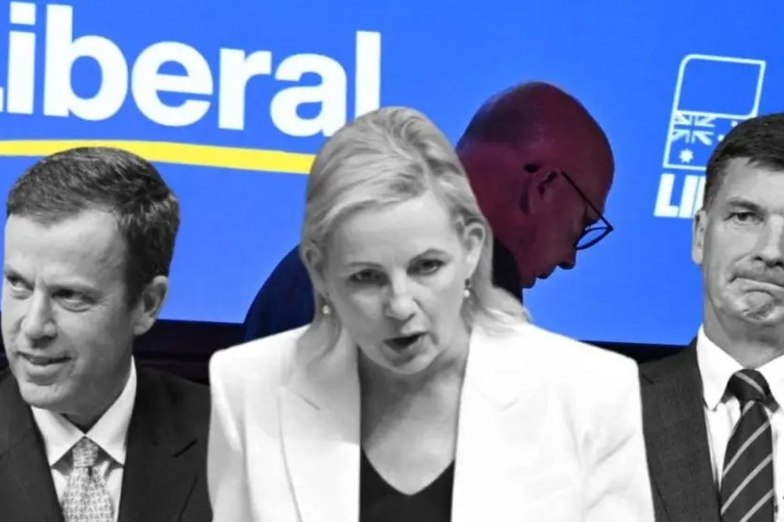 It’s difficult to see how the Liberal Party will be reformed from within to better reflect the views of voters.