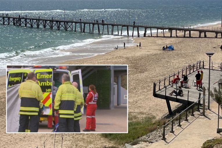 Thumbnail for Male swimmer mauled by shark at family beach 