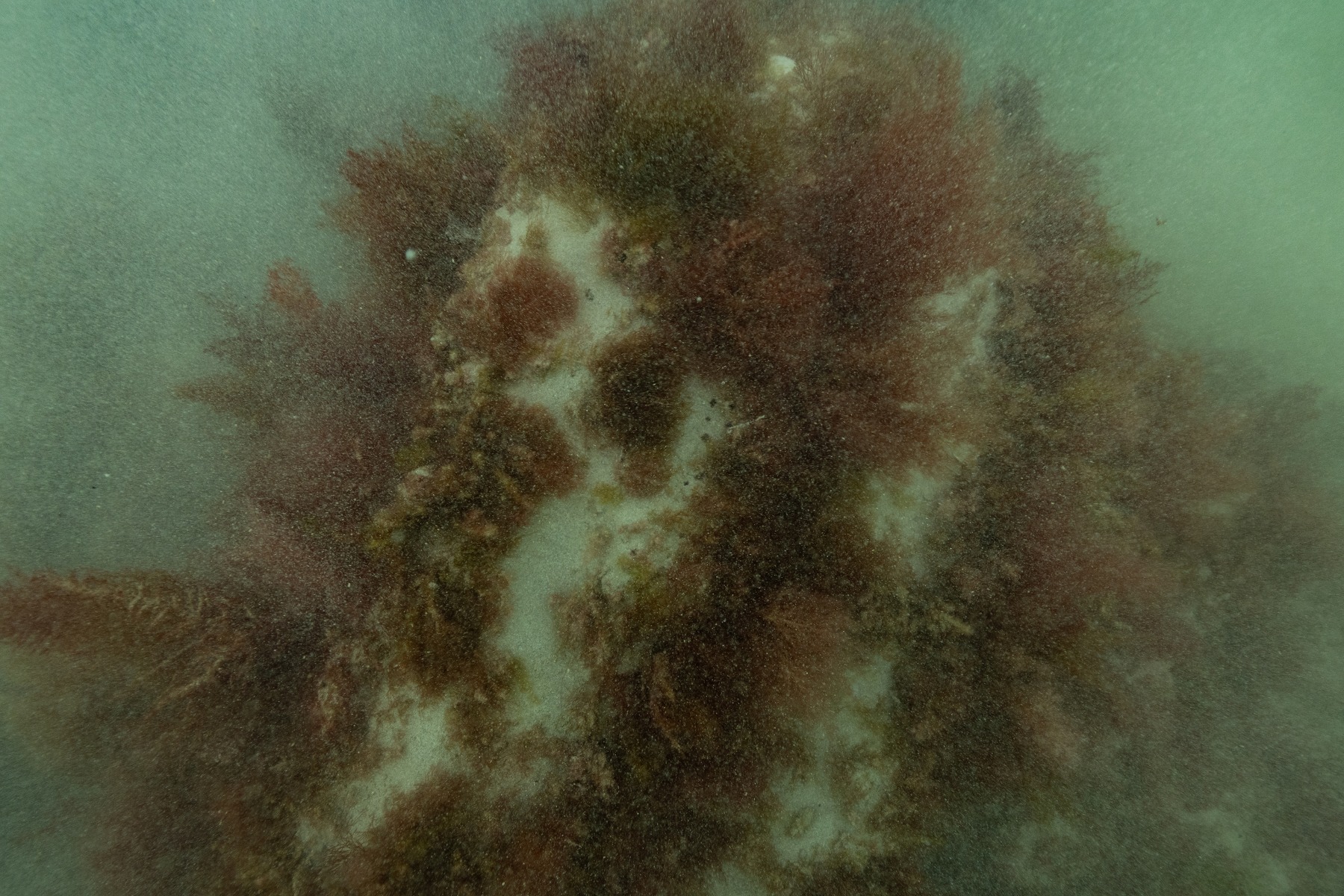 Shipwreck site of RMM Koning Willem de Tweede discovered - News