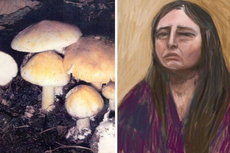 Thumbnail for Approach to mushroom murder case 'flawed'