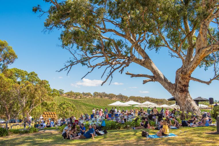 Thumbnail for New regional vision puts SA’s future on the map