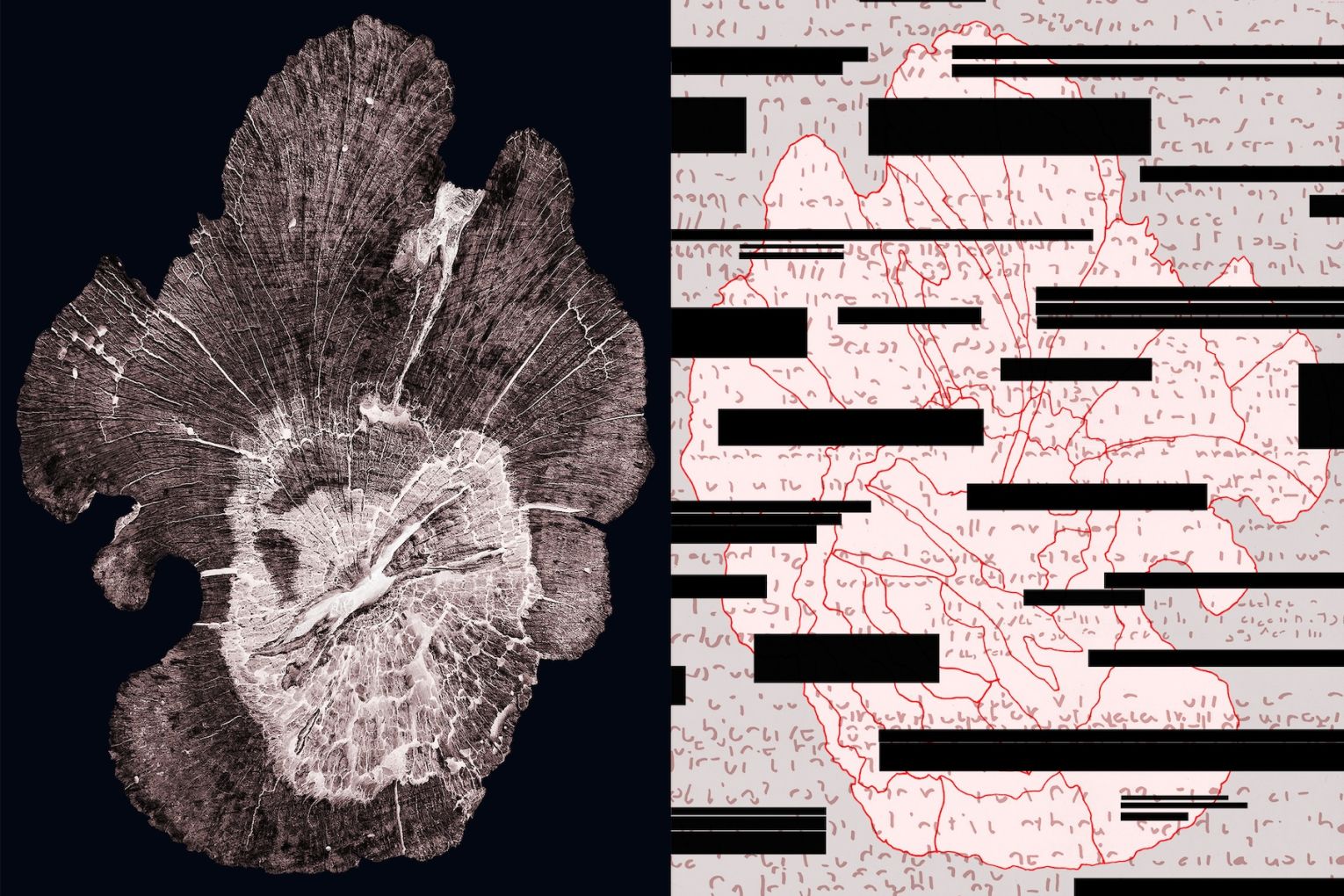 Olga Sankey, Falsereading#2, 2021, digital print. Photo: Supplied