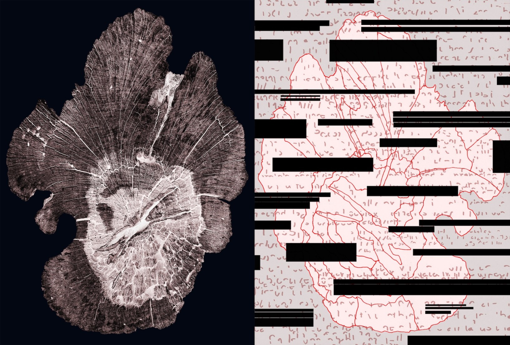 Olga Sankey, Falsereading#2, 2021, digital print. Photo: Supplied