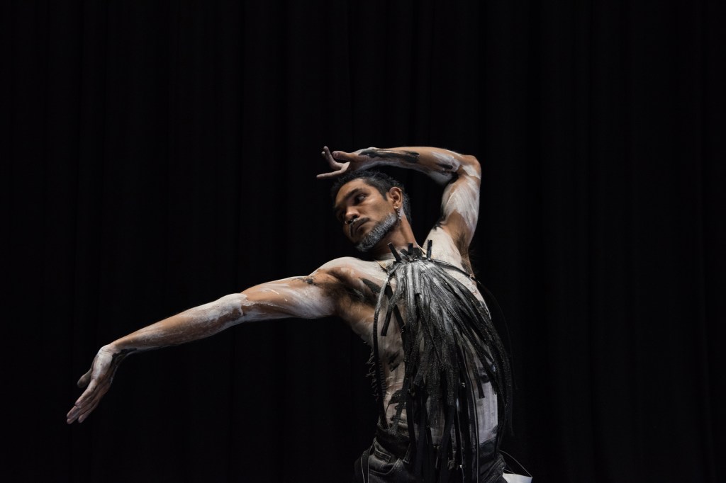 Thumbnail for Brisbane Festival: Baleen Moondjan