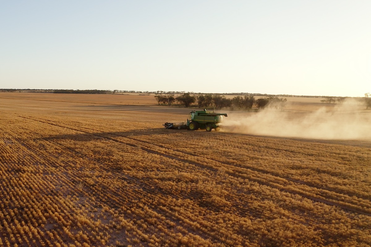 Wheat barley canola and lentils are grown around Kimba, a South Australia's AgTown