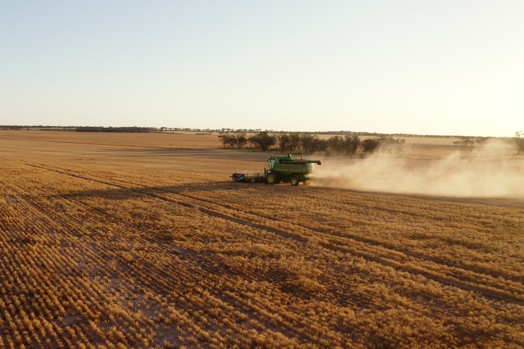 Wheat, barley, canola and lentils are grown around Kimba. Photo: Jordan Agutter