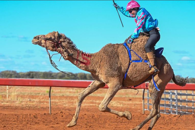 Thumbnail for Forget the diamonds, camels are a girl’s best friend