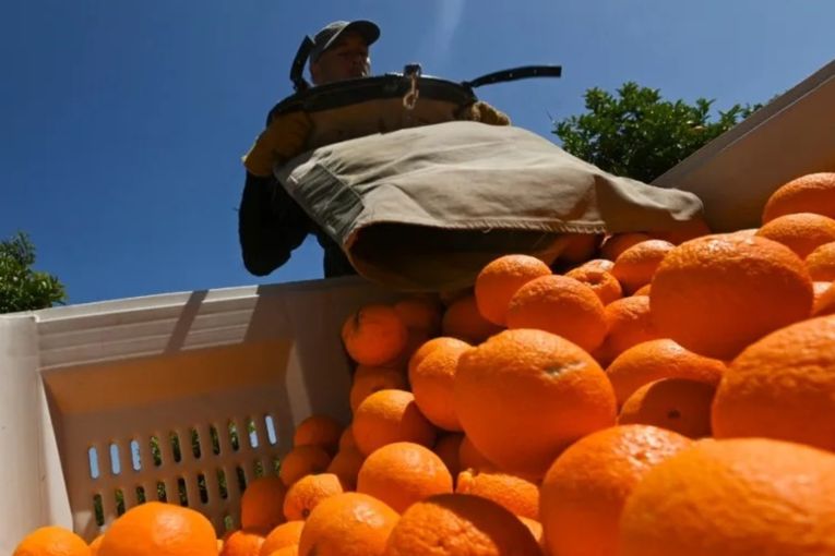 Thumbnail for Supermarket giant acts on 'appalling' work conditions