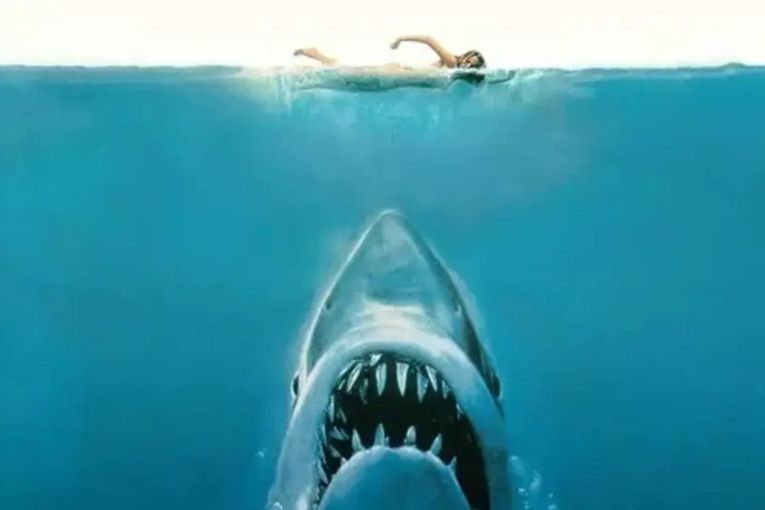 Thumbnail for <i>Jaws</i> at 50: It changed our view of sharks forever