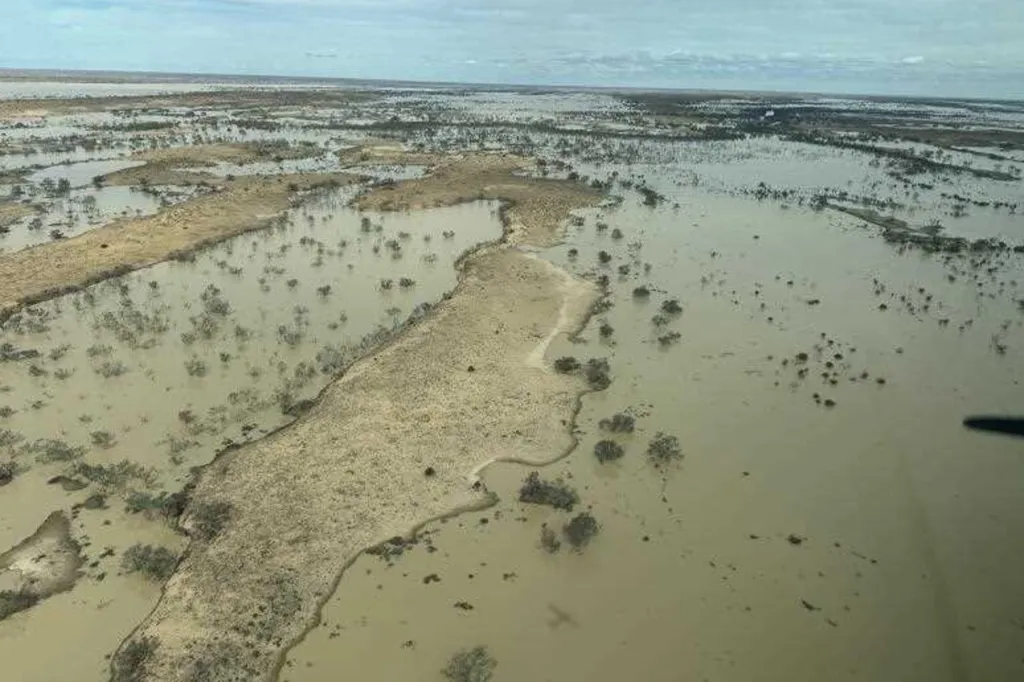 Thumbnail for Lake flood spectacle a magnet for wildlife, tourists