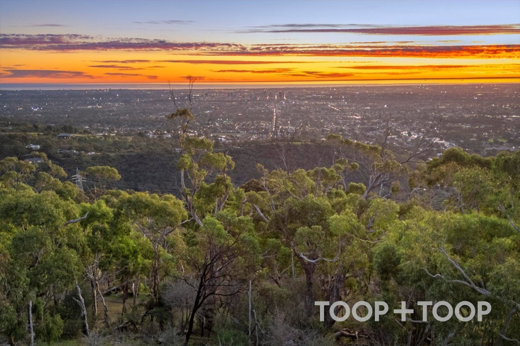 Thumbnail for 86 Woodland Way, Teringie