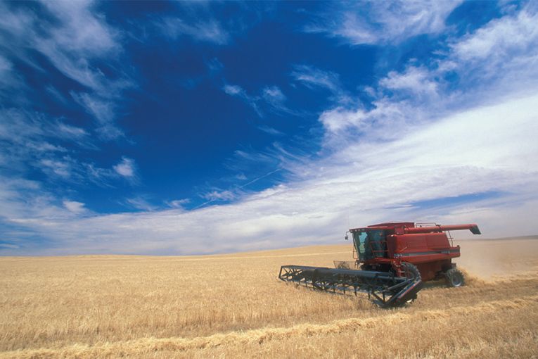 Thumbnail for SA’s Top 10 agricultural towns revealed for 2025