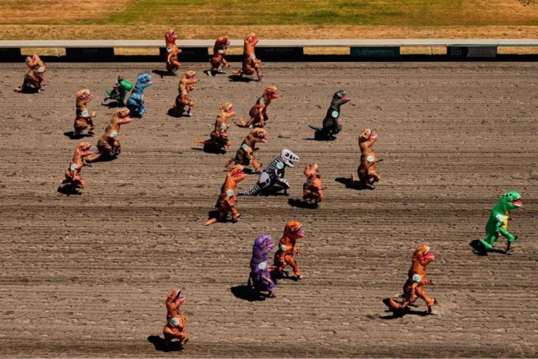 Thumbnail for T-rex racing: The world's feel-good phenomenon
