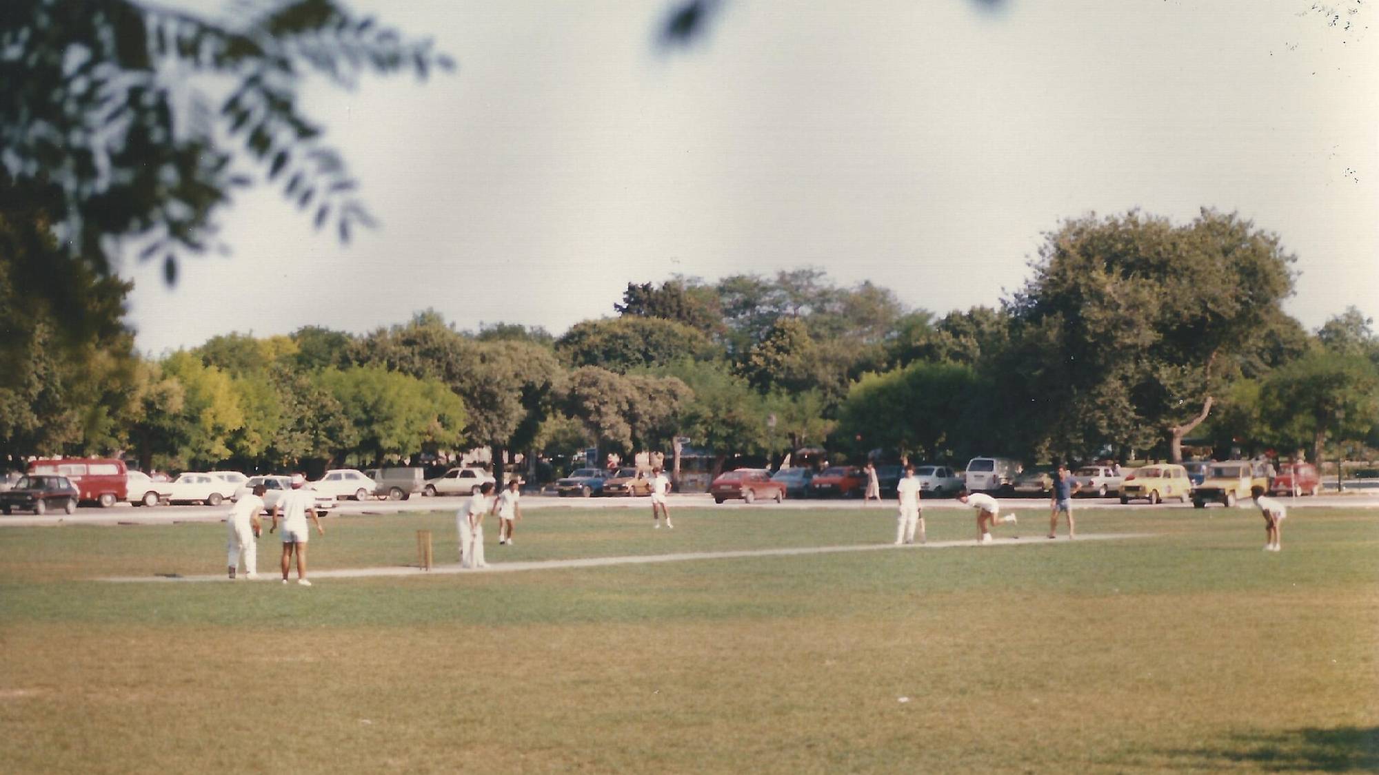 Poem: Cricket Practice, Corfu