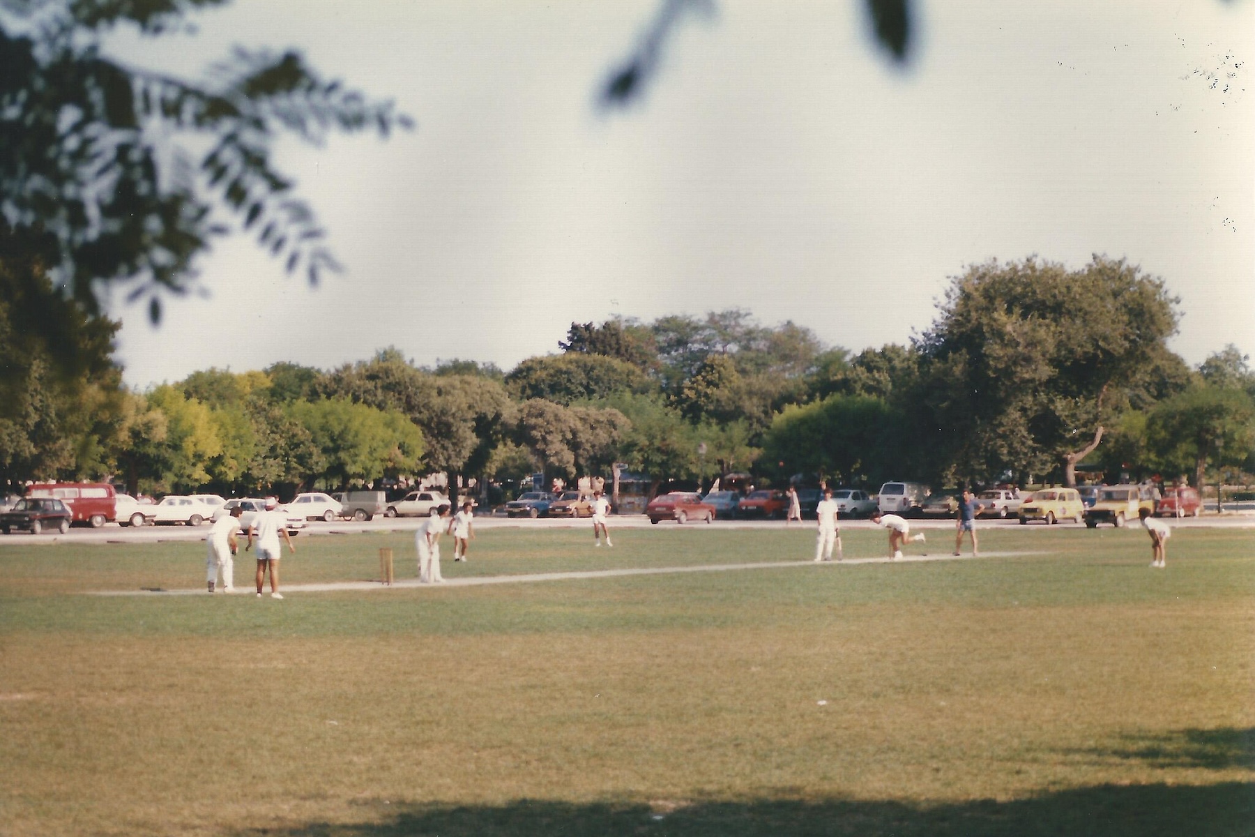 Poem: Cricket Practice, Corfu