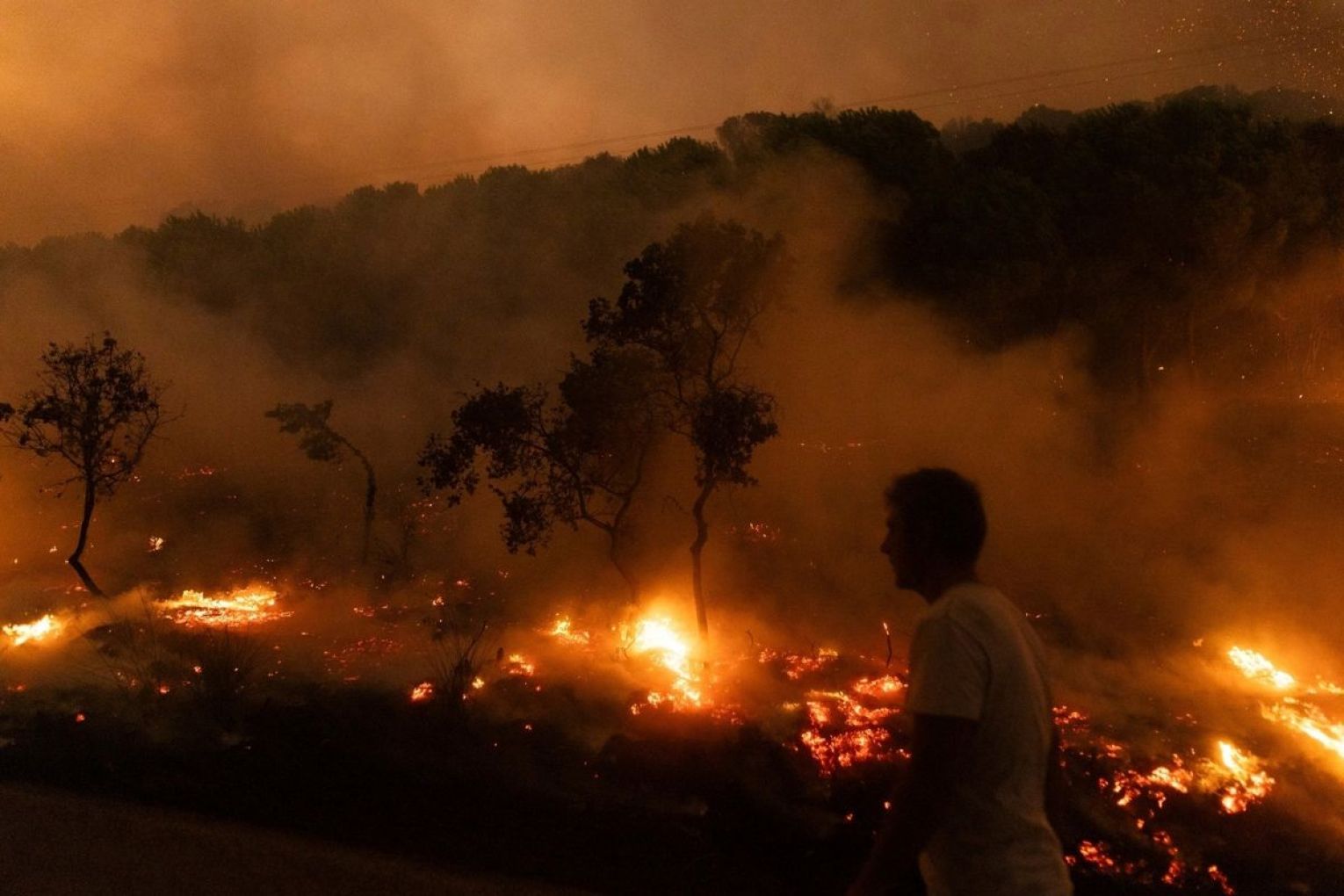 More than 1000 residents and tourists were evacuated from at least four settlements in Greece. 