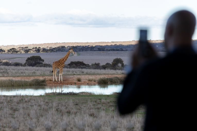 Thumbnail for Inside Monarto Safari Resort