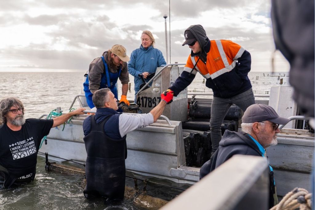Details revealed for algal bloom cash splash