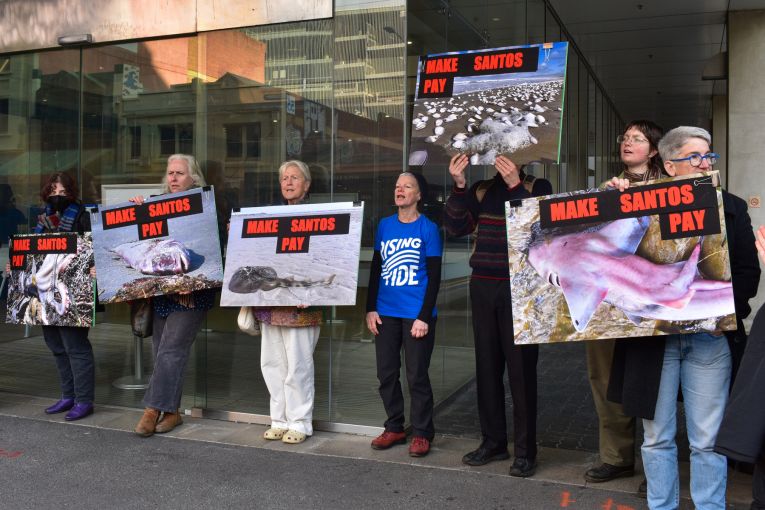 Thumbnail for Protestors call for Santos to foot the algal bloom bill