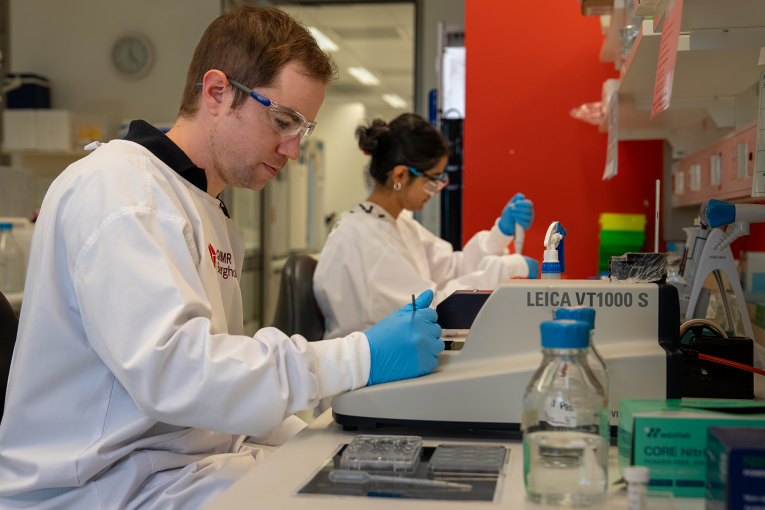 Thumbnail for Breakthrough discovery in Queensland brain stem cell research