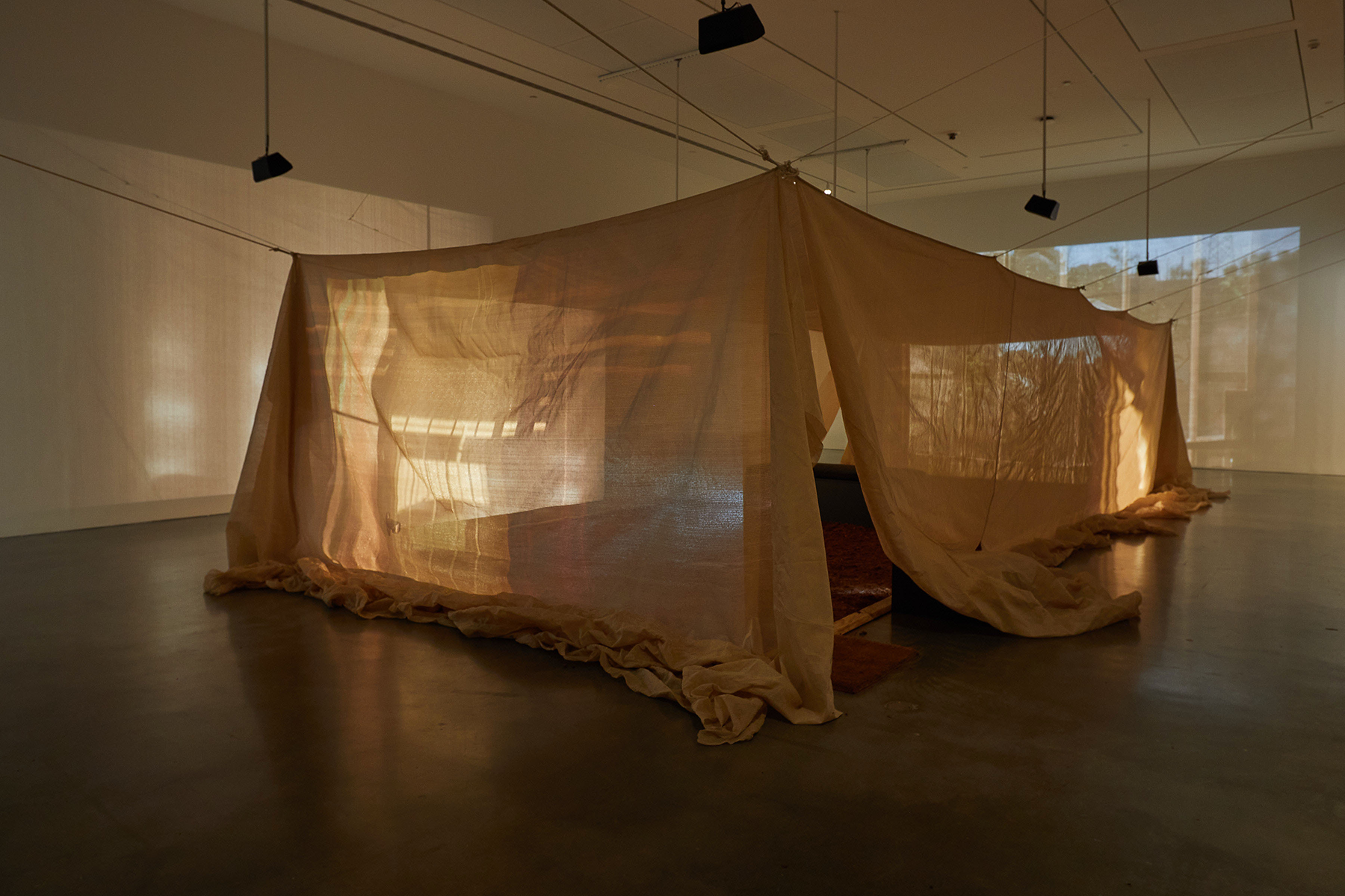 Photos by Anastasia Comelli, Anna Kucera, Allison Chhorn, MCA, Alex Nguyen