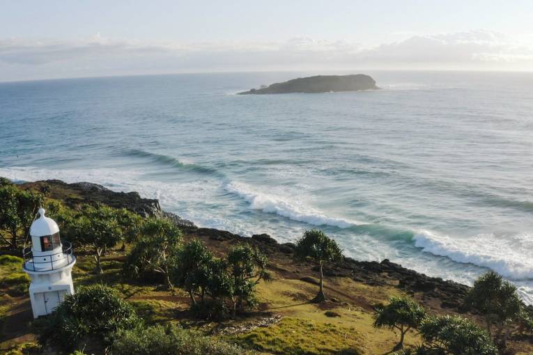 Top whale watching spots near Brisbane and Gold Coast