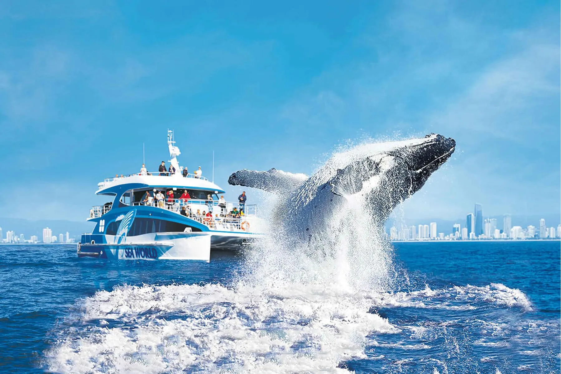 Image credit: Sea World Cruises 