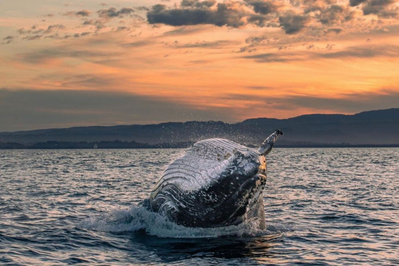 Image credit: Ben Uttley Photography