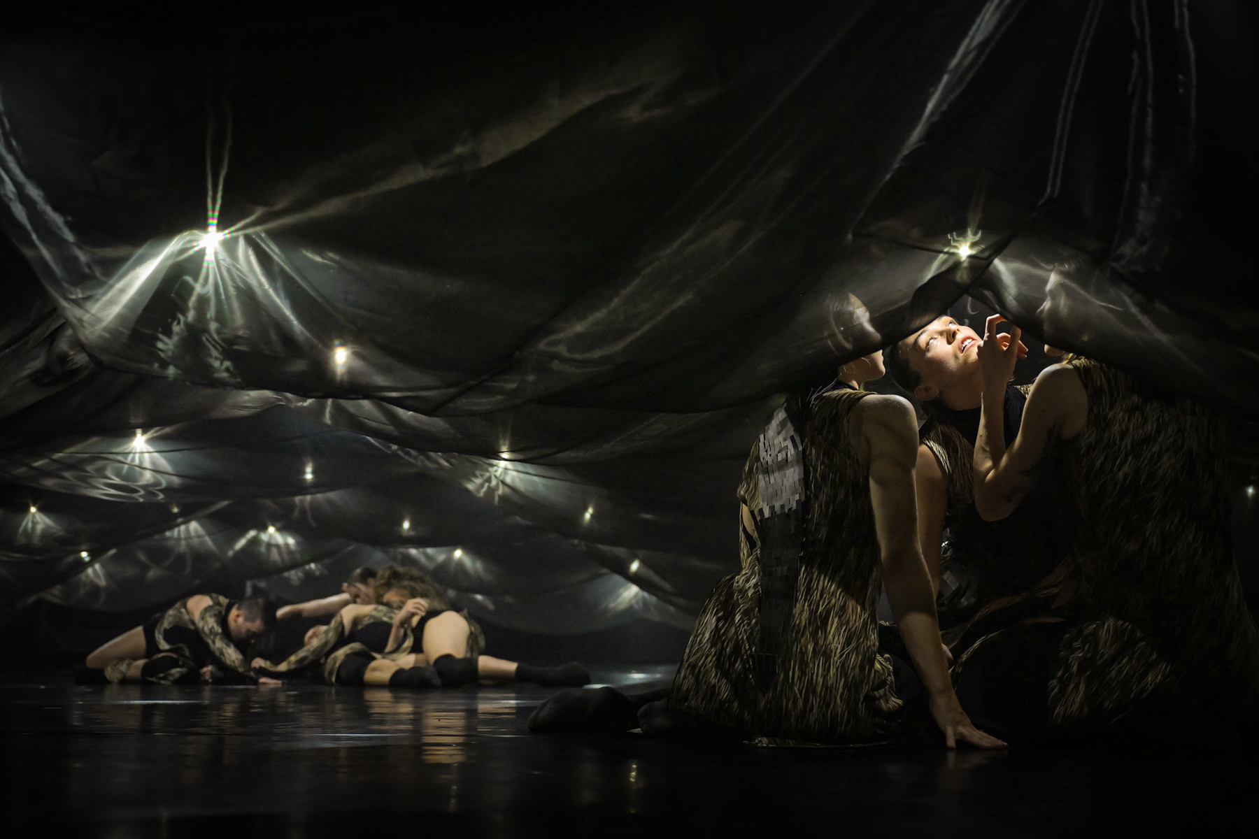 Bad Nature at Brisbane Festival. Credit: Andreas Etter