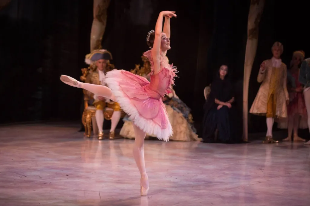 Thumbnail for The Sleeping Beauty