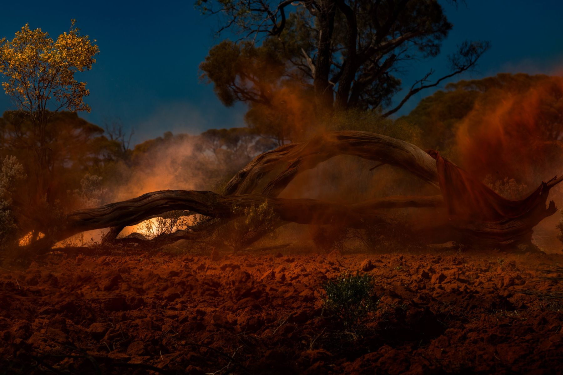'Where I lived / What I lived for' by Dave Laslett
