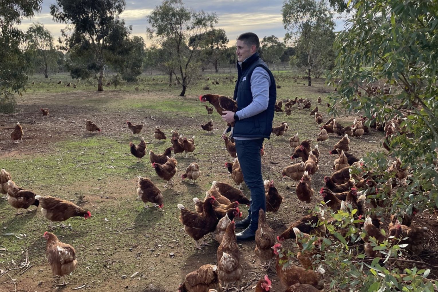 Martin Rohde on his family's free-range egg farm in Tarlee.