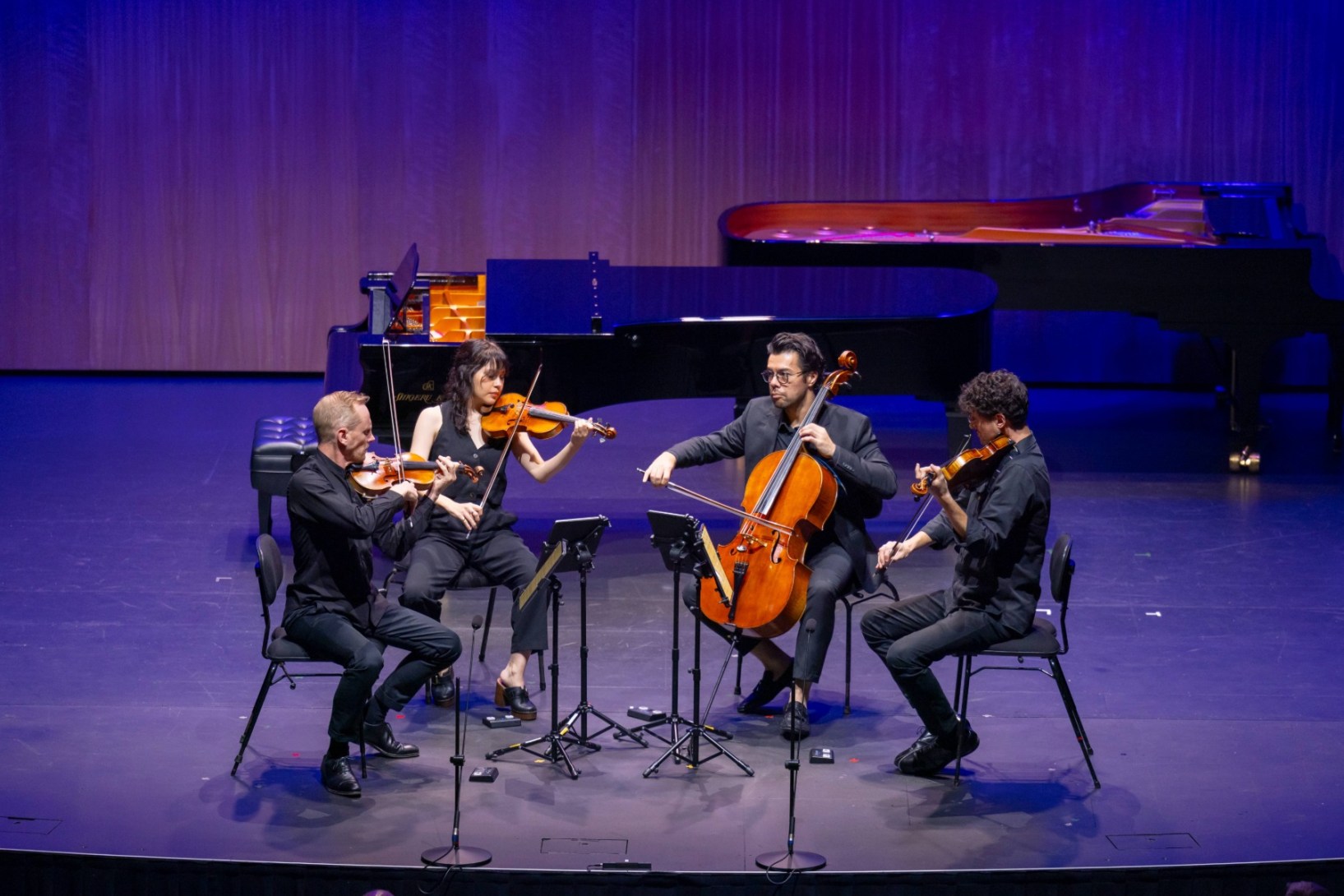 The Australian String Quartet perform in the opening night concert of the 2025 Australian Festival of Chamber Music in Townsville. Photo: Rob Parsons
