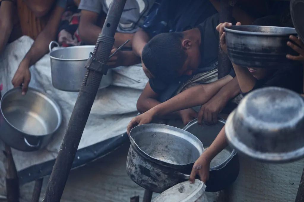 Thumbnail for Crush at Gaza food hub kills 20 as crowd panics