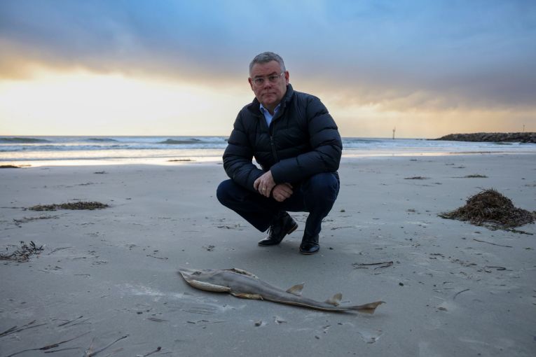 Thumbnail for ‘Incredibly disturbing’: Federal help for algae crisis