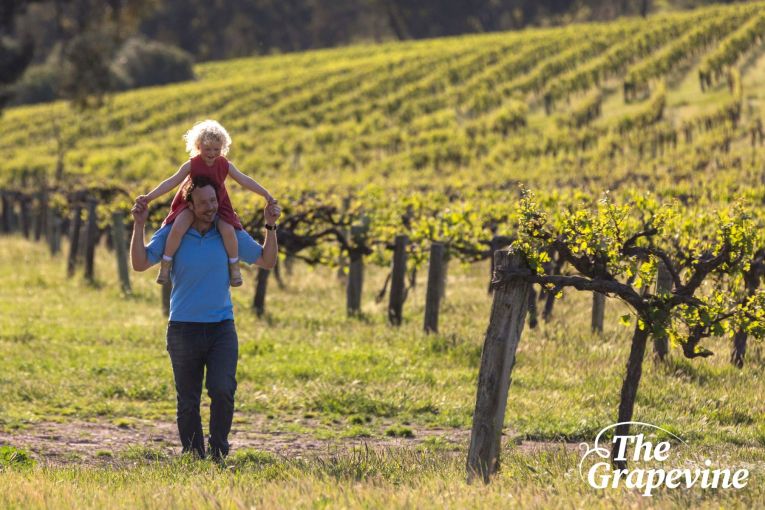 Thumbnail for The Grapevine: Wine industry updates from South Australia